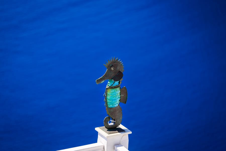 Sculpture of a seahorse with a bright blue background